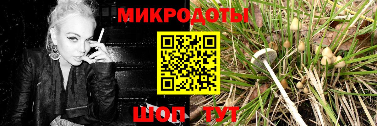 Кинель  Галлюциногенные грибы Psilocybine cubensis  Вход с VPN 
